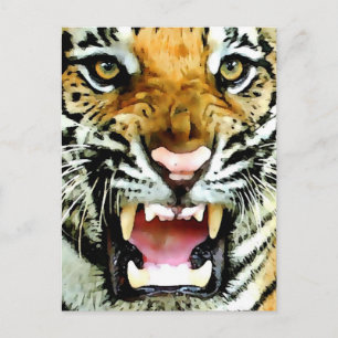 Postal Ojos de tigre