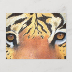 Postal Ojos de tigres