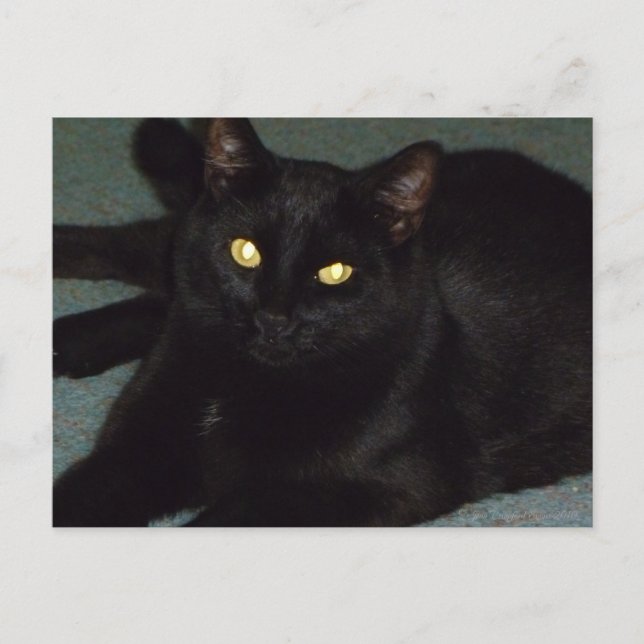 Postal Ojos dorados (Anverso)