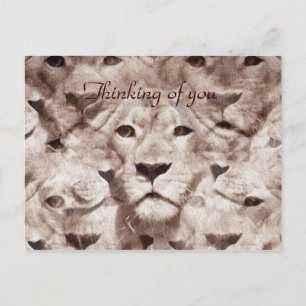 Postal Ojos maravillados_