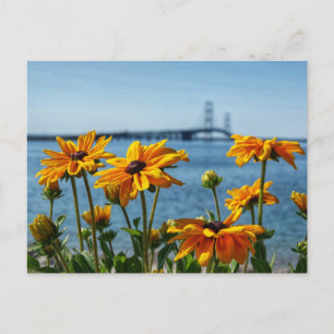 Postal Ojos Negros del Puente Mackinac