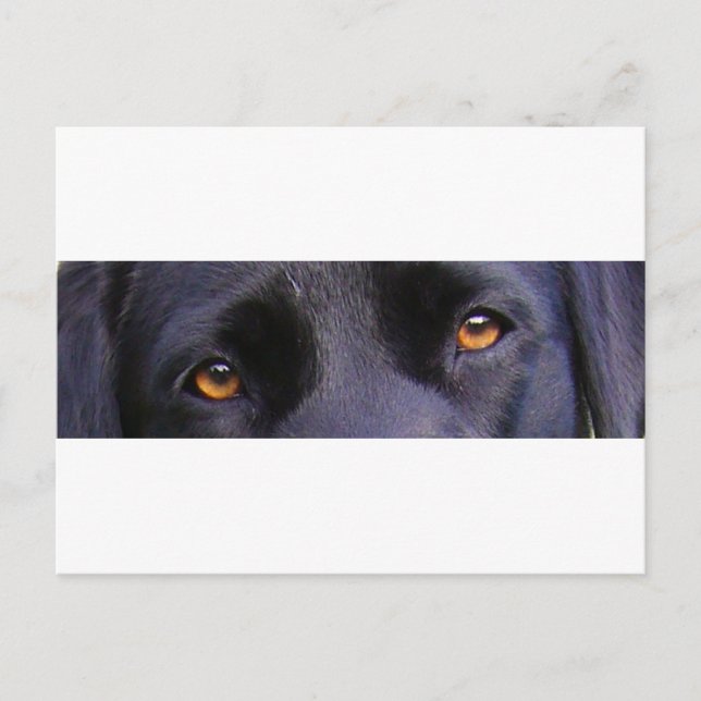 Postal ojos negros LR (Anverso)