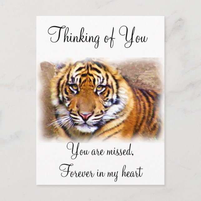 Postal Ojos que ven_ (Anverso)