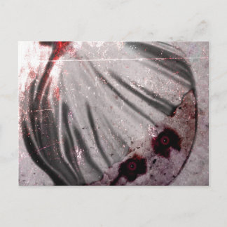 Postal Ojos rojos