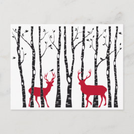 Postal Ojos rojos en el bosque de abedules