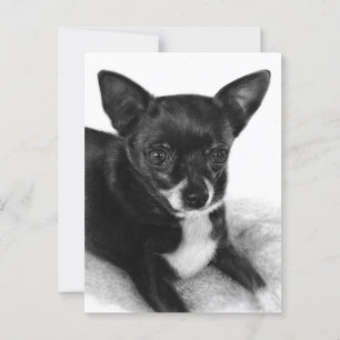 Postal Ojos suaves - Arte Chihuahua pintado a mano