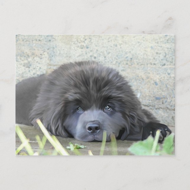 Postal Ojos tristes (Anverso)