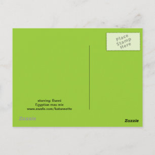 Postal ojos tristes Postcard