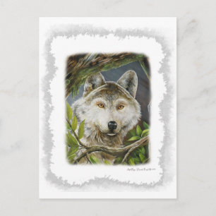 Postal Ojos vigilantes