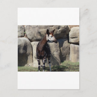Postal okapi