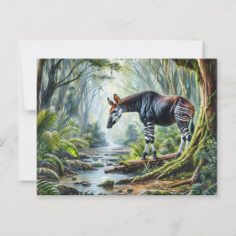 Postal Okapi En La Postcarta De La Selva Lluviosa