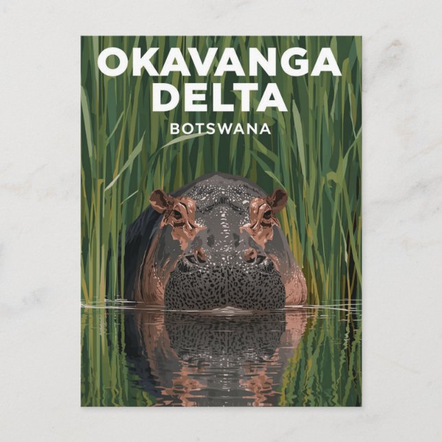 Postal Okavanga Delta Botswana Hippo Wildlife Travel (Anverso)