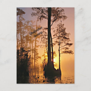 Postal Okefenokee Swamp