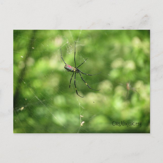 Postal Okinawa Spider (Anverso)