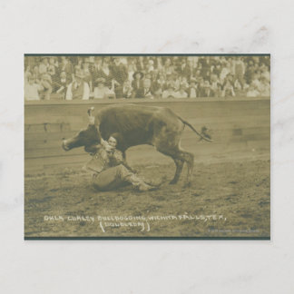 Postal Oklahoma Culy bulldogging.