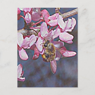 Postal Oklahoma Redbud y Honeybee