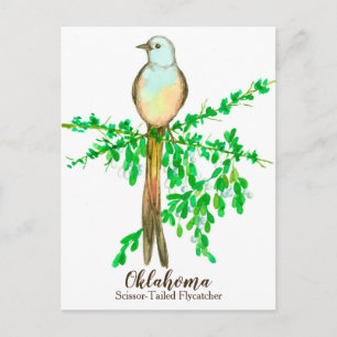 Postal Oklahoma State Bird Scisor Tail Flycatcher