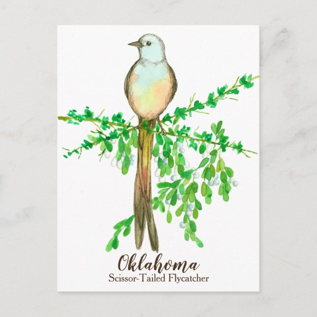 Postal Oklahoma State Bird Scisor Tail Flycatcher (Anverso)
