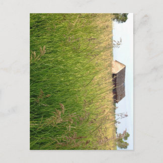 Postal Olas de heno de Kathleen Taylor