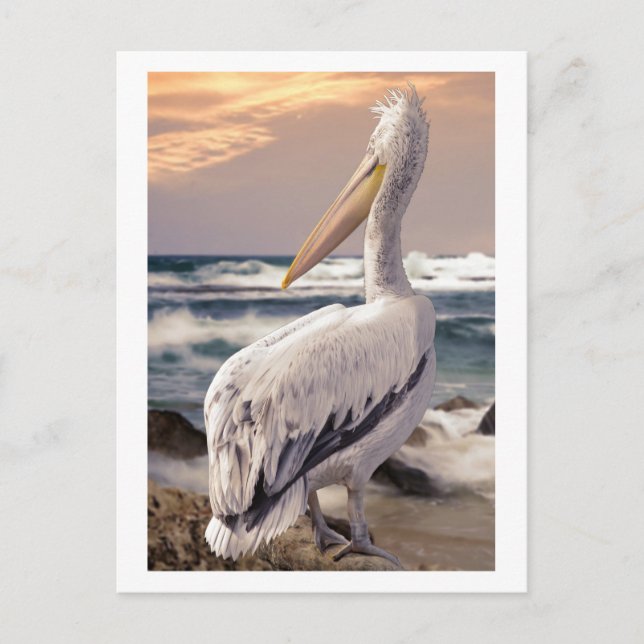 Postal Olas de la playa del Océano Pelican Sunset (Anverso)