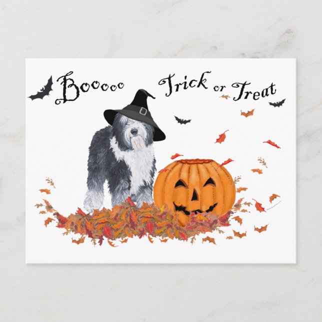 Postal Old English Sheepdog Halloween (Anverso)