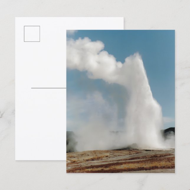 Postal Old Faithful 2009 (Anverso / Reverso)