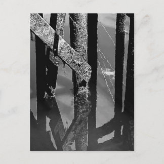 Postal Old Wharf Pier Barnacle Beams Pilings Post Card