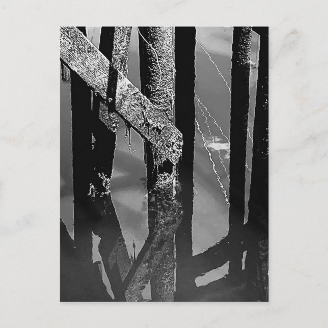 Postal Old Wharf Pier Barnacle Beams Pilings Post Card (Anverso)