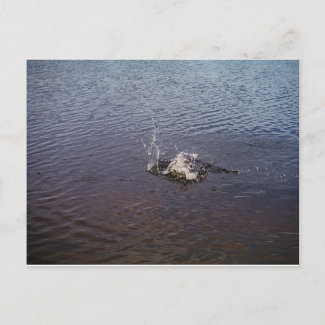 Postal Oleadas en un lago, de un pez saltando (Anverso)