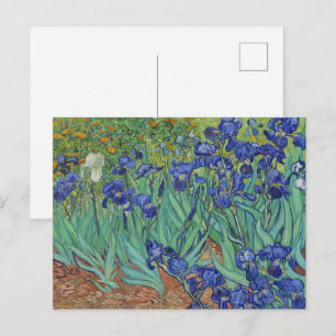 Postal Óleo floral famoso de lirios azules de Van Gogh