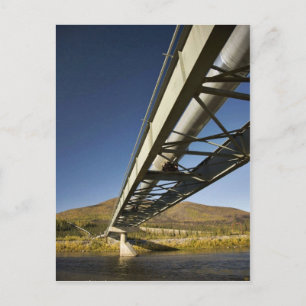 Postal Oleoducto Trans Alaska que cruza la horquilla sur