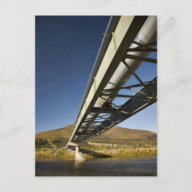 Postal Oleoducto Trans Alaska que cruza la horquilla sur  (Anverso)