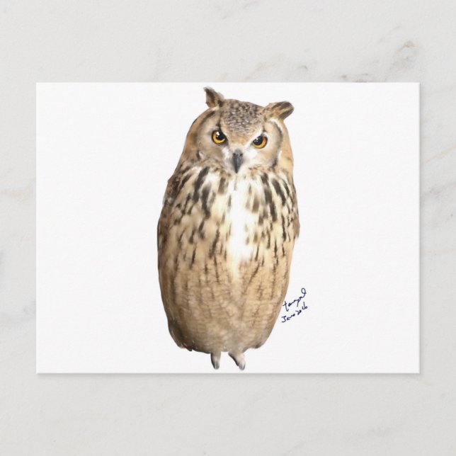 Postal Oleostoma rocki (Anverso)