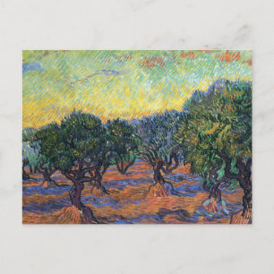 Postal Olivar de Vincent Van Gogh Impresionismo Arte