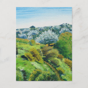 Postal Olive Grove