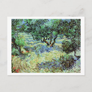 Postal Olive Grove, Bella Artes Vincent van Gogh