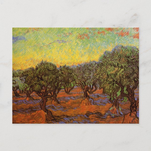 Postal Olive Grove, cielo Naranja por Vincent van Gogh