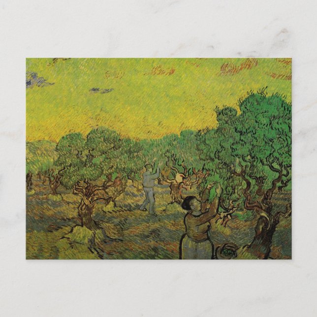 Postal Olive Grove con figuras recolectoras, Vincent van  (Anverso)