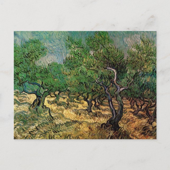 Postal Olive Grove de Vincent van Gogh (Anverso)