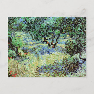 Postal Olive Grove, Vincent van Gogh