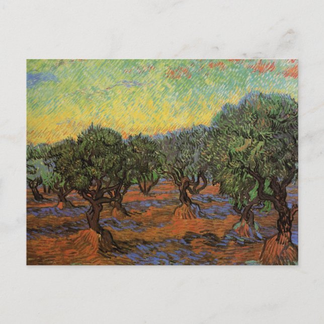 Postal Olive Grove with Naranja Sky, Vincent van Gogh (Anverso)