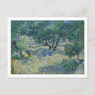 Postal Olive Orchard de van Gogh
