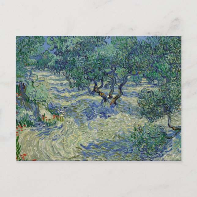 Postal Olive Orchard de van Gogh (Anverso)