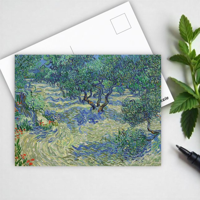 Postal Olive Orchard, Vincent van Gogh (Subido por el creador)