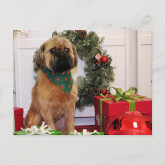 Postal Oliver - Bruselas Griffon - Andrews