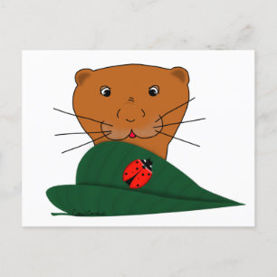 Postal Oliver La Nutria Estudia una Mariquita