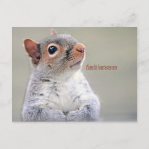 Postal Oliver Twist Squirrel