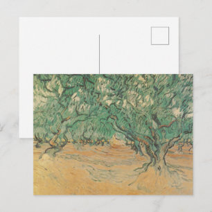 Postal Olivo de Van Gogh - Arte de la naturaleza en verde