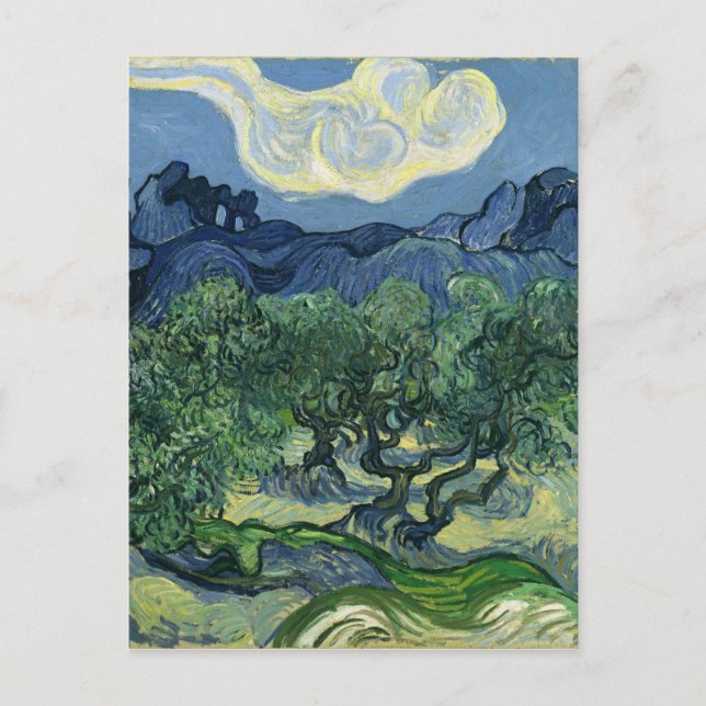 Postal Olivos de Van Gogh (Anverso)