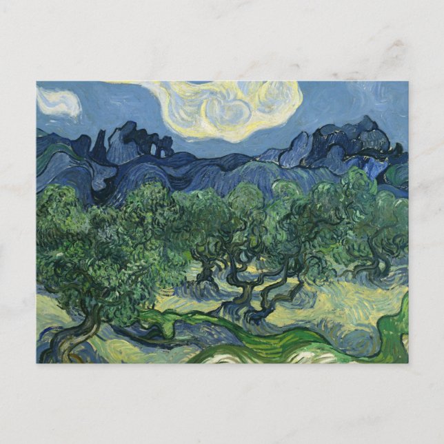 Postal Olivos de Van Gogh (Anverso)